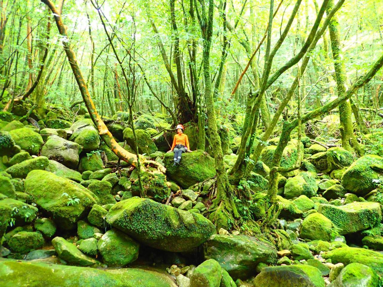 Yakushima Cottage Morino Fairy All Cotage With Open-Air Bath Dış mekan fotoğraf