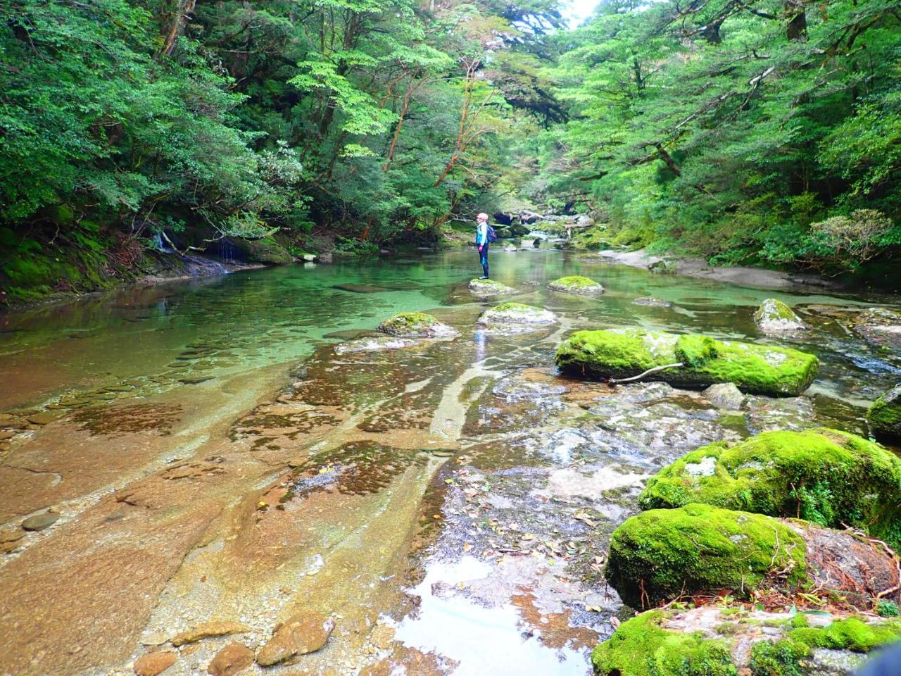 Yakushima Cottage Morino Fairy All Cotage With Open-Air Bath Dış mekan fotoğraf