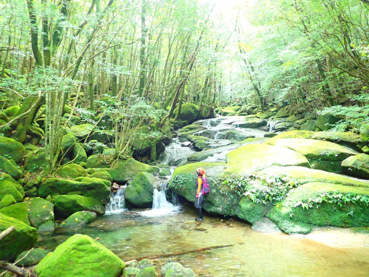 Yakushima Cottage Morino Fairy All Cotage With Open-Air Bath Dış mekan fotoğraf